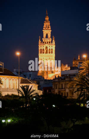 La Giralda, La Cathédrale de Séville, Andalousie, Espagne Banque D'Images