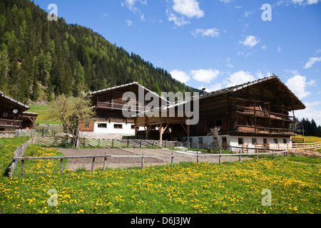 Exploitations de montagne près de Sankt Nikolaus (S. Nicolo) dans la vallée de Ulten (Ultental). Des Alpes de l'Est, le Tyrol du Sud, Italie. Banque D'Images