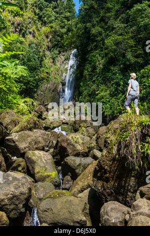 Les touristes à la recherche à la Trafalgar Falls, parc national du Morne Trois Pitons, Site de l'UNESCO, Dominique, Antilles, Caraïbes Banque D'Images