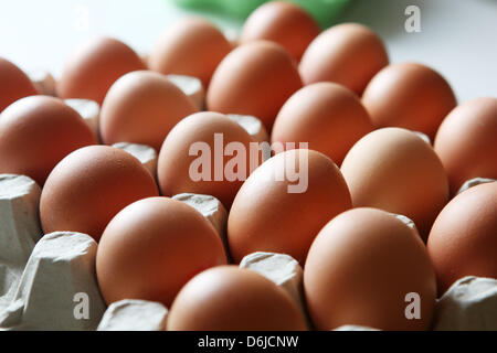 (Dossier) une archive photo datée du 03 janvier 2011 montre brown les oeufs de poule à Hambourg, Allemagne. Près d'un mois avant Pâques, le prix des oeufs en allemand a augmenté. Depuis la fin de janvier, un kilogramme d'oeufs (environ 15 gros œufs) a été un euro plus cher, selon la chambre d'Agriculture de Basse-Saxe à Oldenburg le mercredi, 14 mars 2012. Photo : Malte Chrétiens Banque D'Images