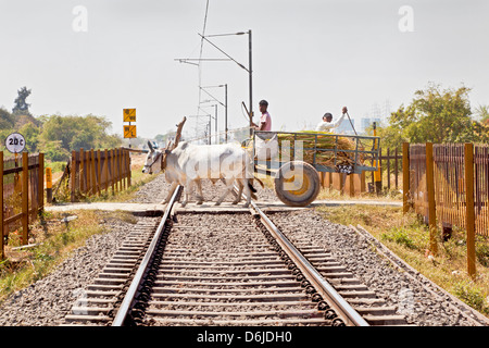 Paysage de la voie ferrée où une charrette transportant des produits agricoles traverse un passage à niveau sans barrières Banque D'Images