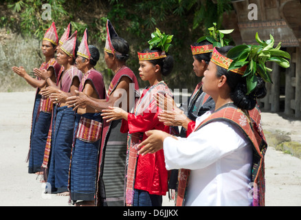 Les tribus Batak en costume traditionnel l'exécution de la danse locale, Huta Bolon, Simanindo, Sumatra, Indonésie, Asie du Sud, Asie Banque D'Images