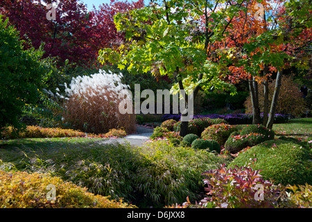 Feuillage de l'automne dans le Jardin botanique de Montréal, Montréal, Québec, Canada, Amérique du Nord Banque D'Images