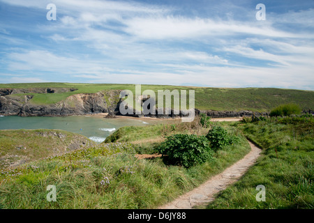 Chemin d'une falaise près de Porthcothan Bay, Cornwall, Angleterre, Royaume-Uni, Europe Banque D'Images
