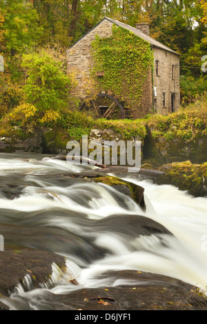 Cenarth Cascades, Carmarthenshire, Pays de Galles, Royaume-Uni, Europe Banque D'Images