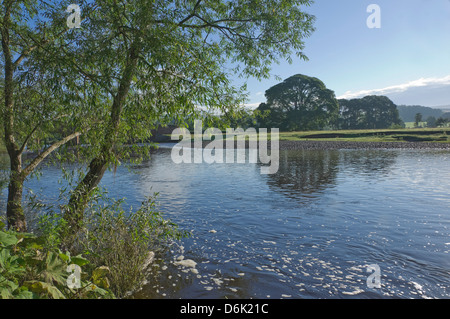 La rivière Eden près de Lazonby, Eden Valley, Cumbria, Angleterre, Royaume-Uni, Europe Banque D'Images