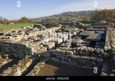 Le site de la maison de commandants, Fort romain de Chesters, mur d'Hadrien, Site de l'UNESCO, le Parc National de Northumbrie, England, UK Banque D'Images