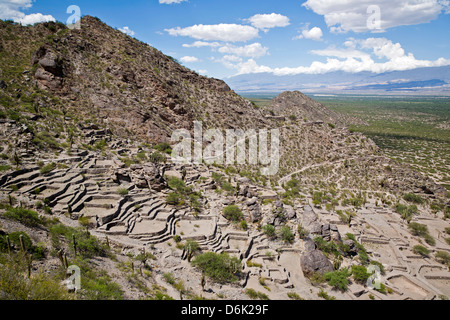 Ruines de Quilmes, la province de Salta, Argentine, Amérique du Sud Banque D'Images