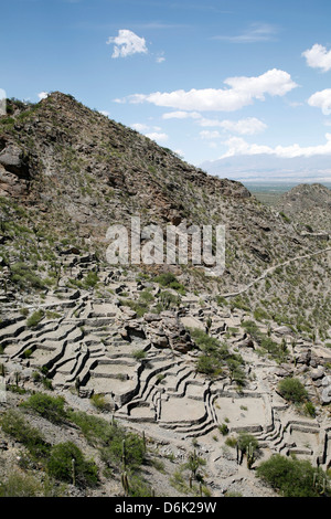 Ruines de Quilmes, la province de Salta, Argentine, Amérique du Sud Banque D'Images