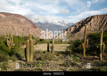 Paysage près de Purmamarca, Province de Jujuy, Argentine, Amérique du Sud Banque D'Images