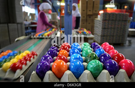 Oeufs teints s'asseoir dans le Behan egg dye-travaille à Thannhausen, Allemagne, 30 mars 2012. Sa saison à la teinturerie peu avant Pâques. Autour de 180 000 œufs sont bouillis et teint ici tous les jours. Photo : Karl-Josef Opim Banque D'Images