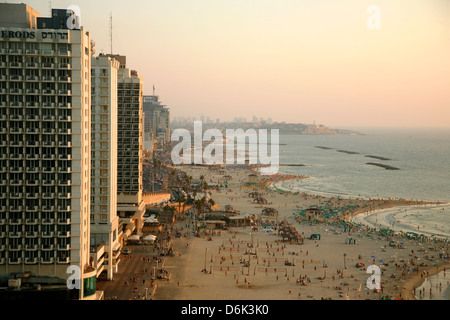 Vue sur les toits et les plages de Tel Aviv, Israël, Moyen Orient Banque D'Images