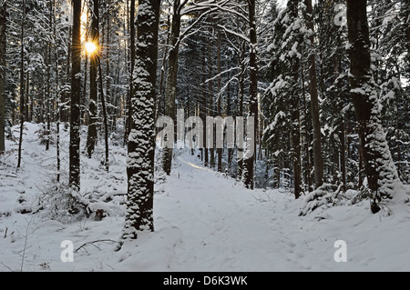 Scène d'hiver en milieu rural, près de Villingen-Schwenningen, forêt-Noire-baar, Baden-Wurttemberg, Germany, Europe Banque D'Images