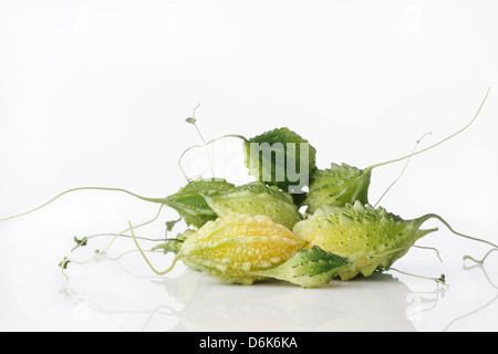 Un groupe de melon amer isolated on white Banque D'Images