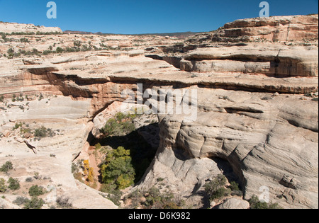 Natural Bridges National Monument, Utah, États-Unis d'Amérique, Amérique du Nord Banque D'Images