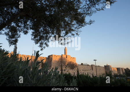 Citadelle de David et les remparts de la ville vu par Olivier au coucher du soleil. Vieille ville de Jérusalem. Israël. Banque D'Images