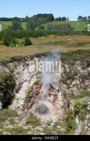 Cratères de la lune, la vallée de Wairakei, Nouvelle-Zélande Banque D'Images