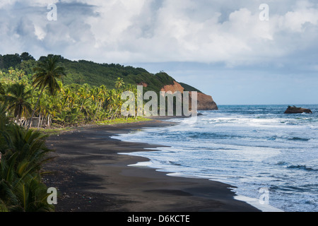 Côte Est de la Dominique, Antilles, Caraïbes, Amérique Centrale Banque D'Images