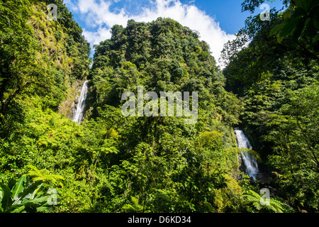 Trafalgar Falls, parc national du Morne Trois Pitons, site classé au Patrimoine Mondial de l'UNESCO, Dominique, Antilles, Caraïbes, Amérique Centrale Banque D'Images