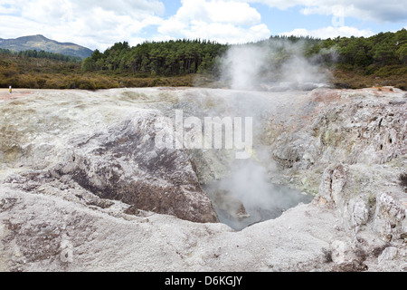 Birds Nest cratère dans Wai-O-Tapu réserve géothermique de Rotorua, Nouvelle-Zélande Banque D'Images