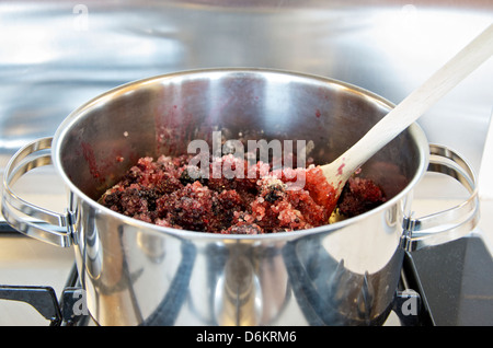 Faire de la confiture : Etape 7/10, en remuant la préservation de sucre en casserole en acier inoxydable de mûres et de l'eau Banque D'Images
