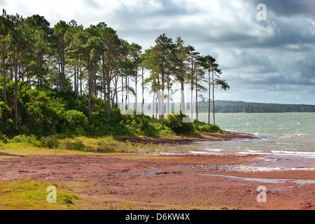 Mare-aux-Vacoas- le plus grand réservoir d'eau de l'Ile Maurice Banque D'Images