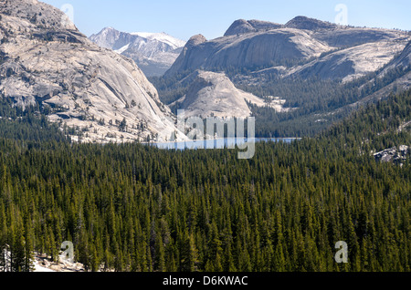 Sur le Lac Tenaya Tioga Pass dans le Parc National de Yosemite en Californie Banque D'Images