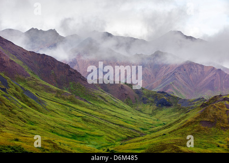 Vue brouillard brumeux au sud de l'Alaska vont de col polychrome, Denali National Park, Alaska, USA Banque D'Images