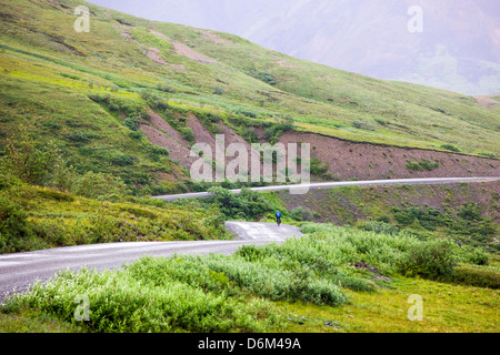 L'accès limité à l'équitation cycliste road, Denali National Park, Alaska, USA Banque D'Images