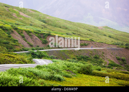 L'accès limité à l'équitation cycliste road, Denali National Park, Alaska, USA Banque D'Images