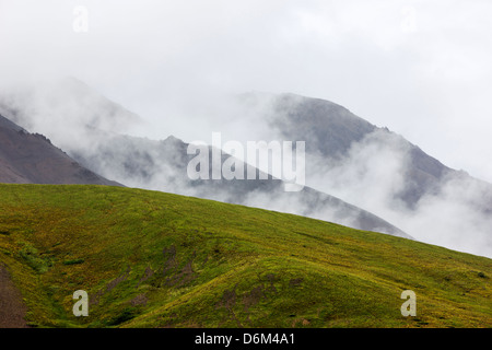 Vue brouillard brumeux au sud de l'Alaska vont de col polychrome, Denali National Park, Alaska, USA Banque D'Images