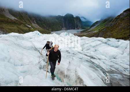 Les touristes marcher sur le Fox Glacier. L'île du Sud, Nouvelle-Zélande Banque D'Images