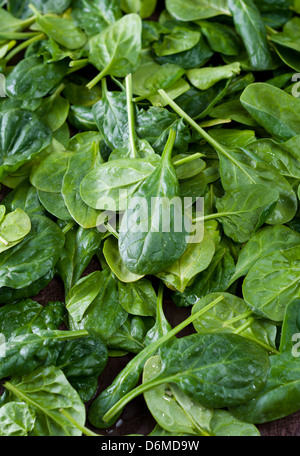 Les feuilles d'épinards frais biologiques composition Banque D'Images