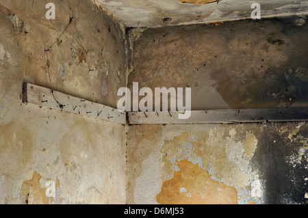 Bandes avec des clous rouillés sur les murs en ruine d'une salle abandonnée. Banque D'Images