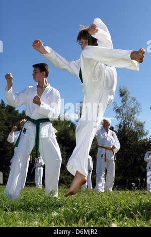 Wolfhagen, Allemagne, les gens dans un cours de taekwondo dans la nature Banque D'Images