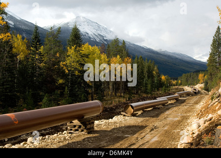 Un pipeline prêt à être posés dans le sol Banque D'Images