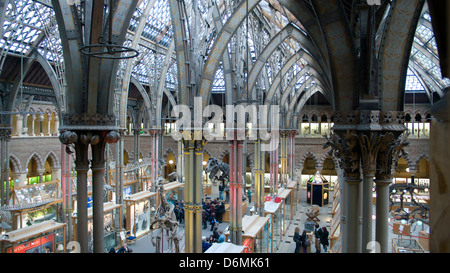 Fonte ouvragée piliers, Pitt Rivers Museum, Oxford Banque D'Images