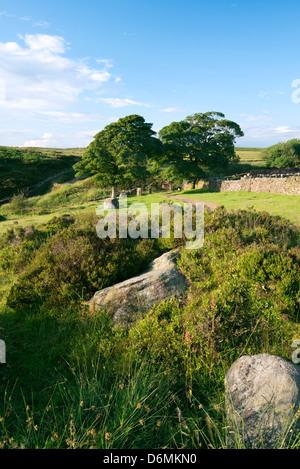 Une scène d'été près de bord Buxton, parc national de Peak District. Banque D'Images