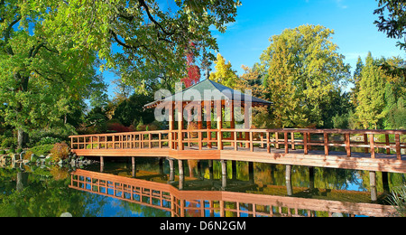 Jardin japonais de Wroclaw Pologne Banque D'Images