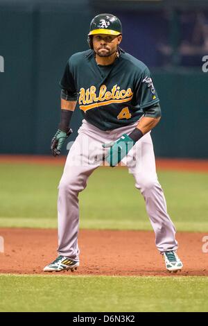 St Petersburg, USA. 20 avril 2013 : Oakland Athletics champ centre Coco Crisp (4) dans la 9ème manche de la Ligue Majeure de Baseball lors d'action de jeu entre les Athletics d'Oakland et les Rays de Tampa Bay. Tampa Bay Oakland défait 1-0 à Tropicana Field à St Petersburg, FL. Banque D'Images