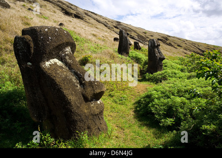 Le Chili, l'île de Pâques, Rapa Nui, têtes de moai sur l'intérieur de cratère Rano Raraku Banque D'Images