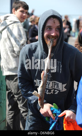 Brighton Sussex UK 21 avril 2013 - Un homme avec un poisson dans la bouche opposé à la marche pour l'Angleterre procession le long du front de mer de Brighton aujourd'hui . Le défilé a été fortement surveillé car ils ont essayé de garder les deux groupes séparés Banque D'Images