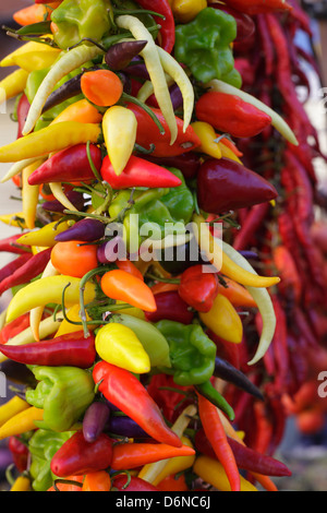 Inca, Majorque, Espagne, Poivrons et piments séchés dans un marché Banque D'Images