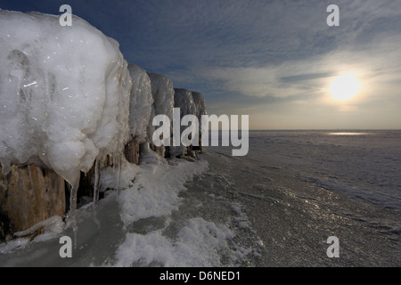 Wustrow, Allemagne, épis de glace sur la mer Baltique Banque D'Images