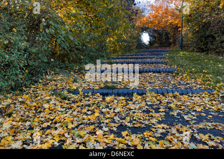 Les feuilles d'automne et la couleur sur les mesures et le chemin à Bristol les journée ensoleillée, UK Banque D'Images