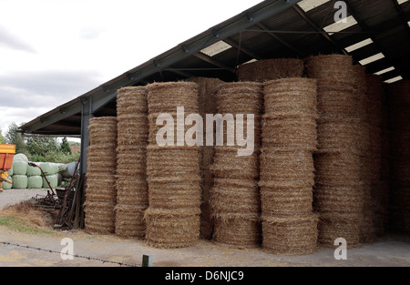 Balles de foin rondes stockés dans une ferme dans le nord de la France. Banque D'Images