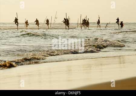 Sri Lanka, Dalawella, de l'Océan Indien, les pêcheurs sur échasses Banque D'Images