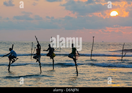 Sri Lanka, Dalawella, de l'Océan Indien, les pêcheurs sur échasses Banque D'Images