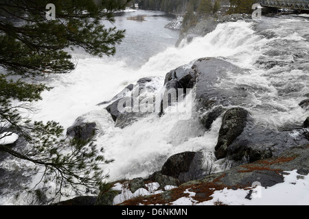 Tombe sur le haut de la rivière Muskoka Nord enflé près de Bracebridge au printemps Banque D'Images