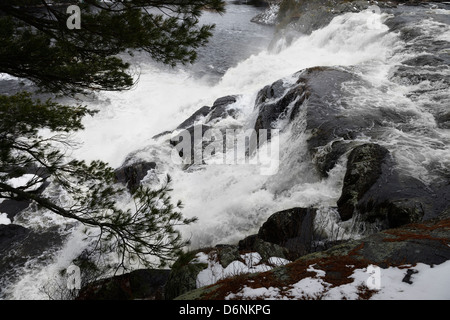 Tombe sur le haut de la rivière Muskoka Nord près de Bracebridge, Ontario Canada au printemps Banque D'Images